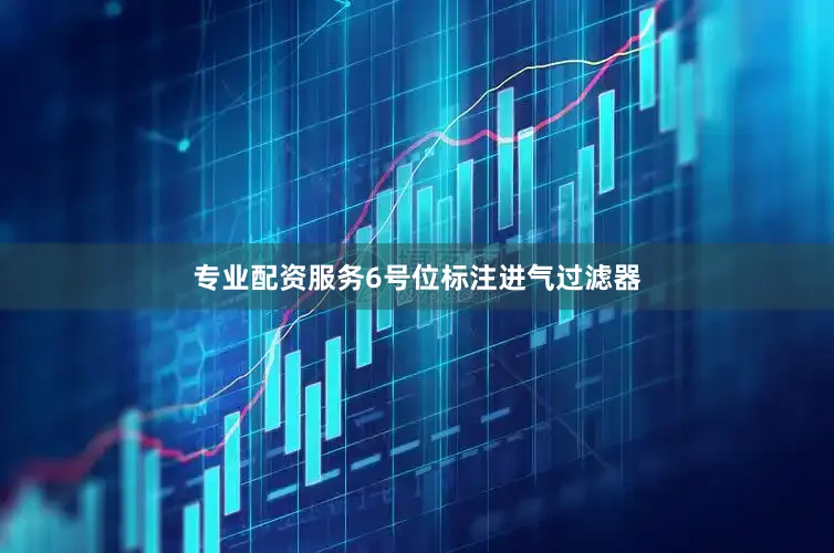 专业配资服务6号位标注进气过滤器